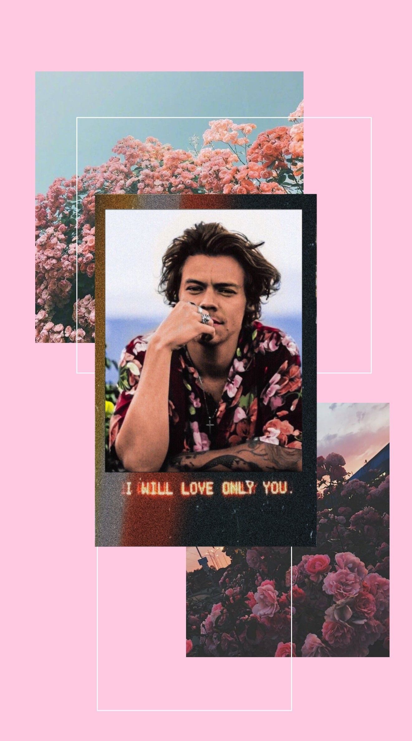 Collage of Harry Styles and flowers on a pink background - Harry Styles
