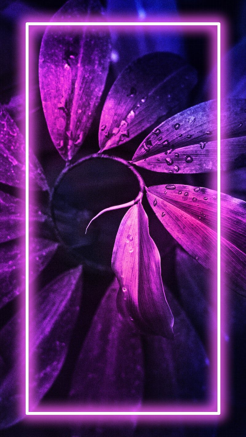 Tropical Neon Lights Phone Screen Wallpaper Image Wallpaper