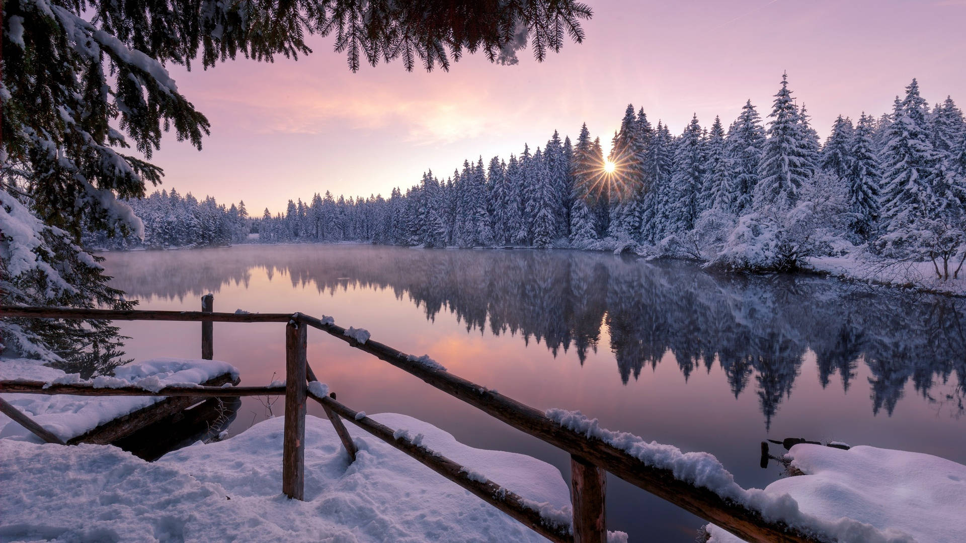 A snowy lake with trees in the background - Winter, snow, lake