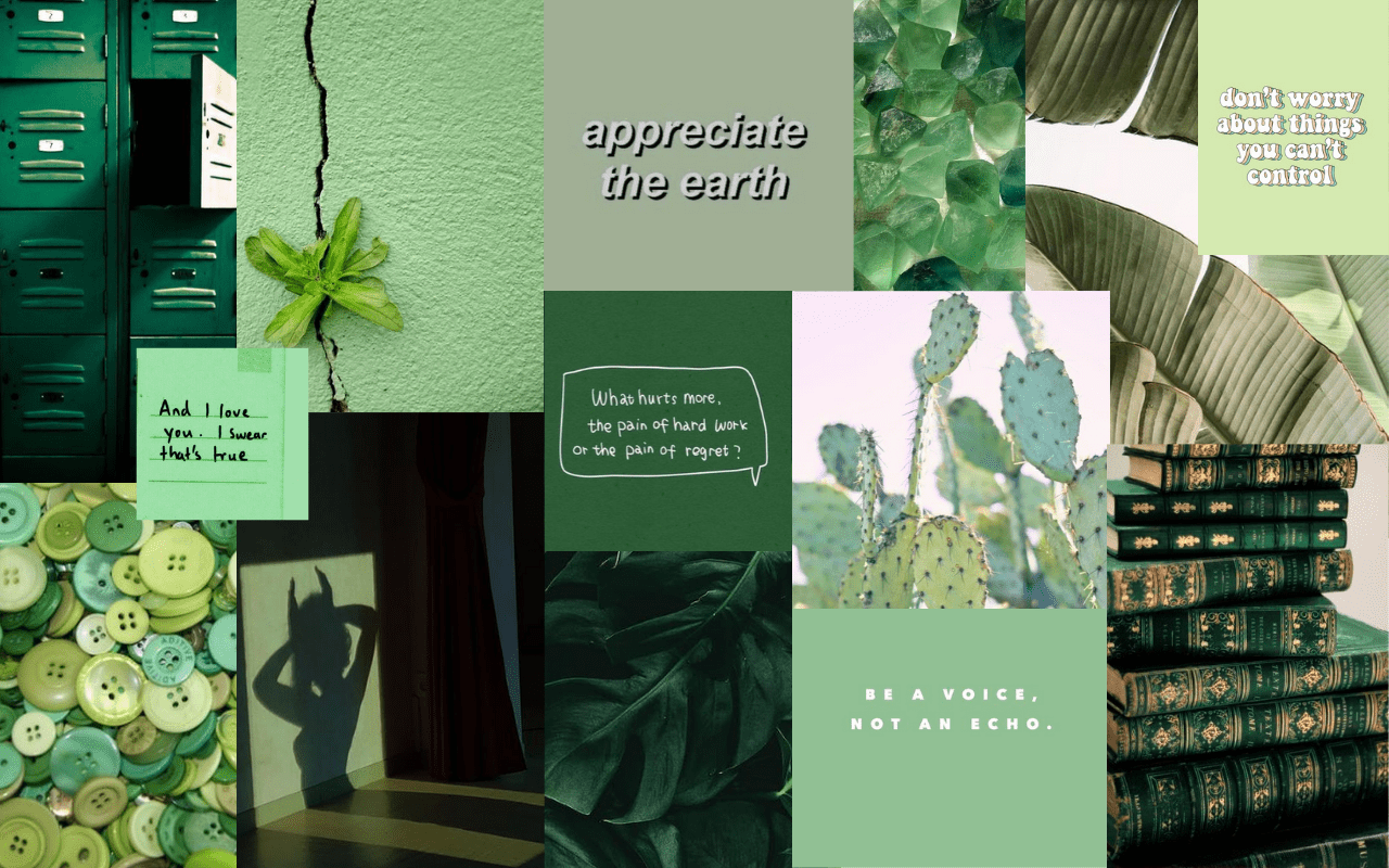 A collage of green images including a green wall, a green plant, a green book, and a green aesthetic. - Green