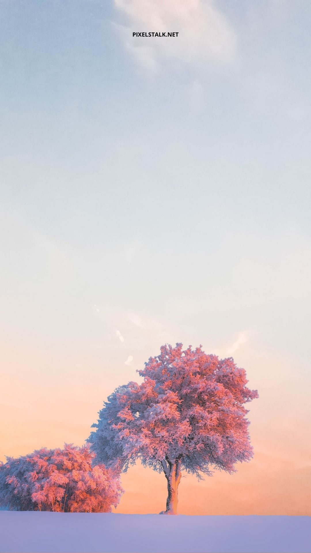 Aesthetic phone wallpaper of a tree in a snowy sunset - Winter