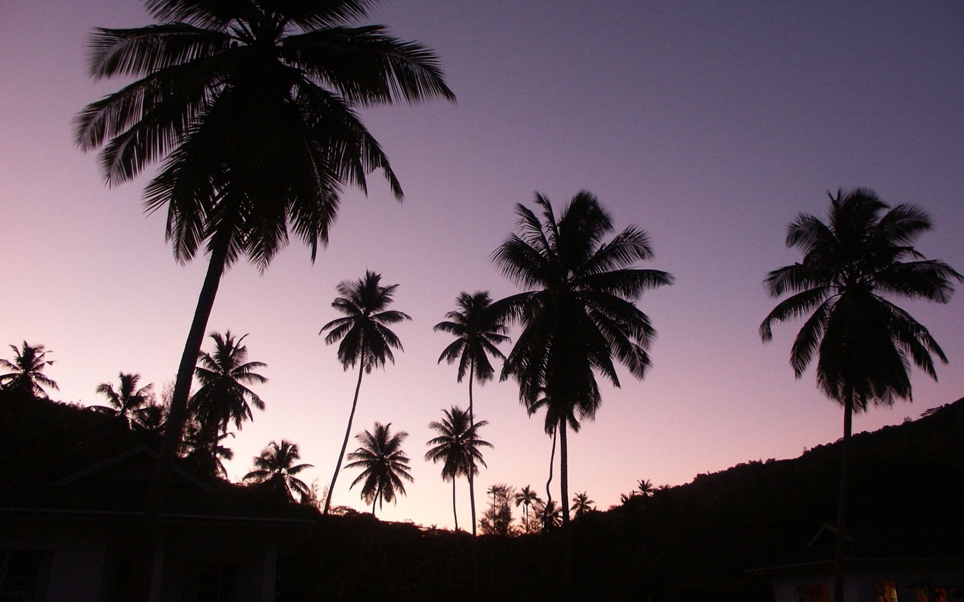 Sunset Palm Trees 2141 HD wallpaper