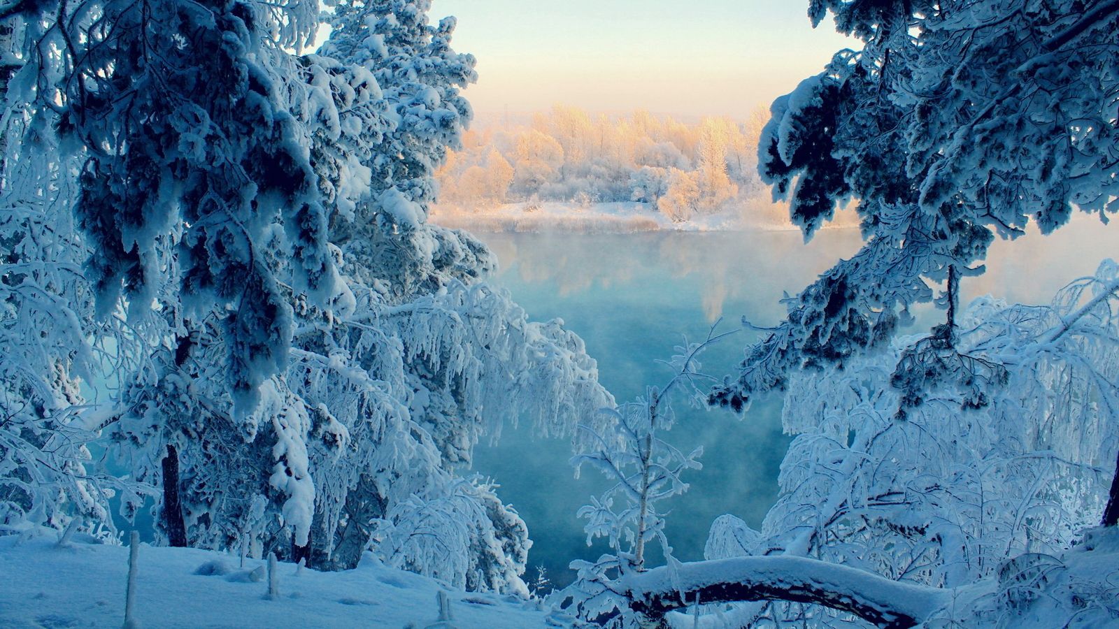 A snow covered forest with a frozen lake in the background. - Winter, nature, snow