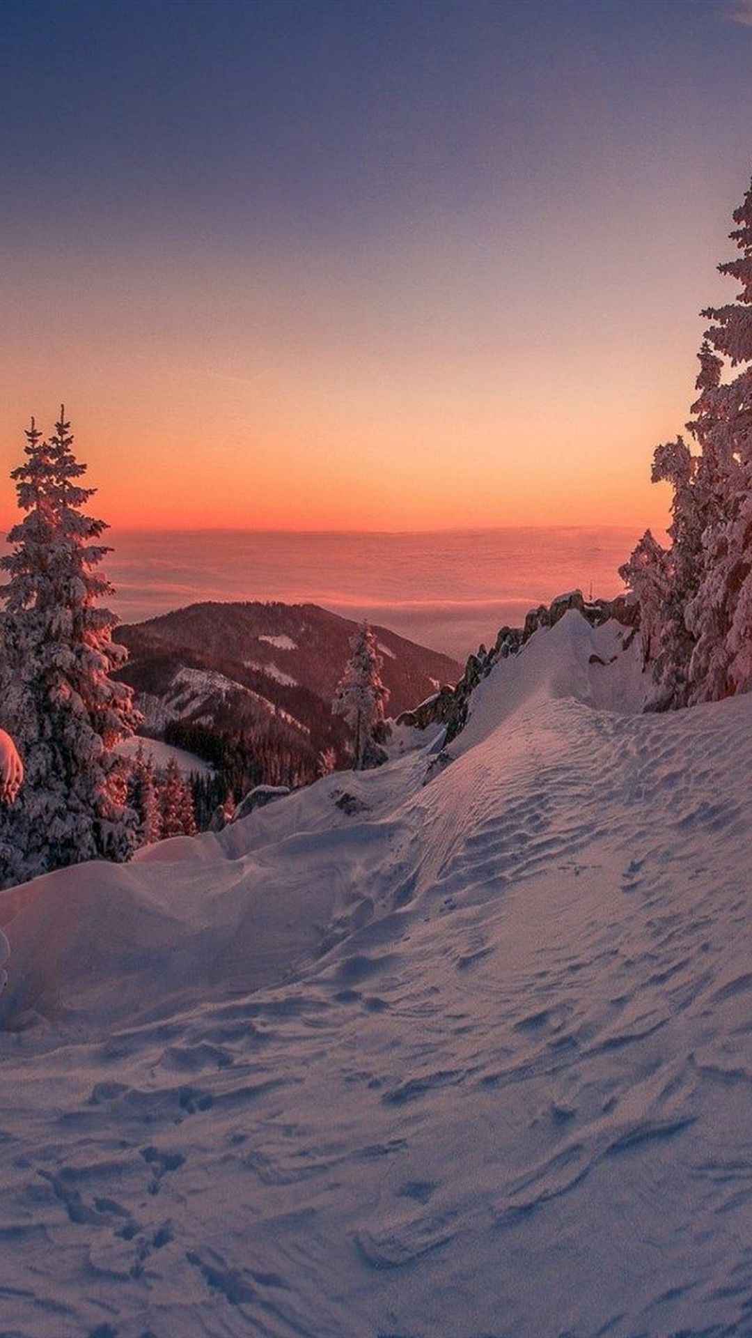 A snowy mountain with trees and a beautiful sunset - Winter, snow