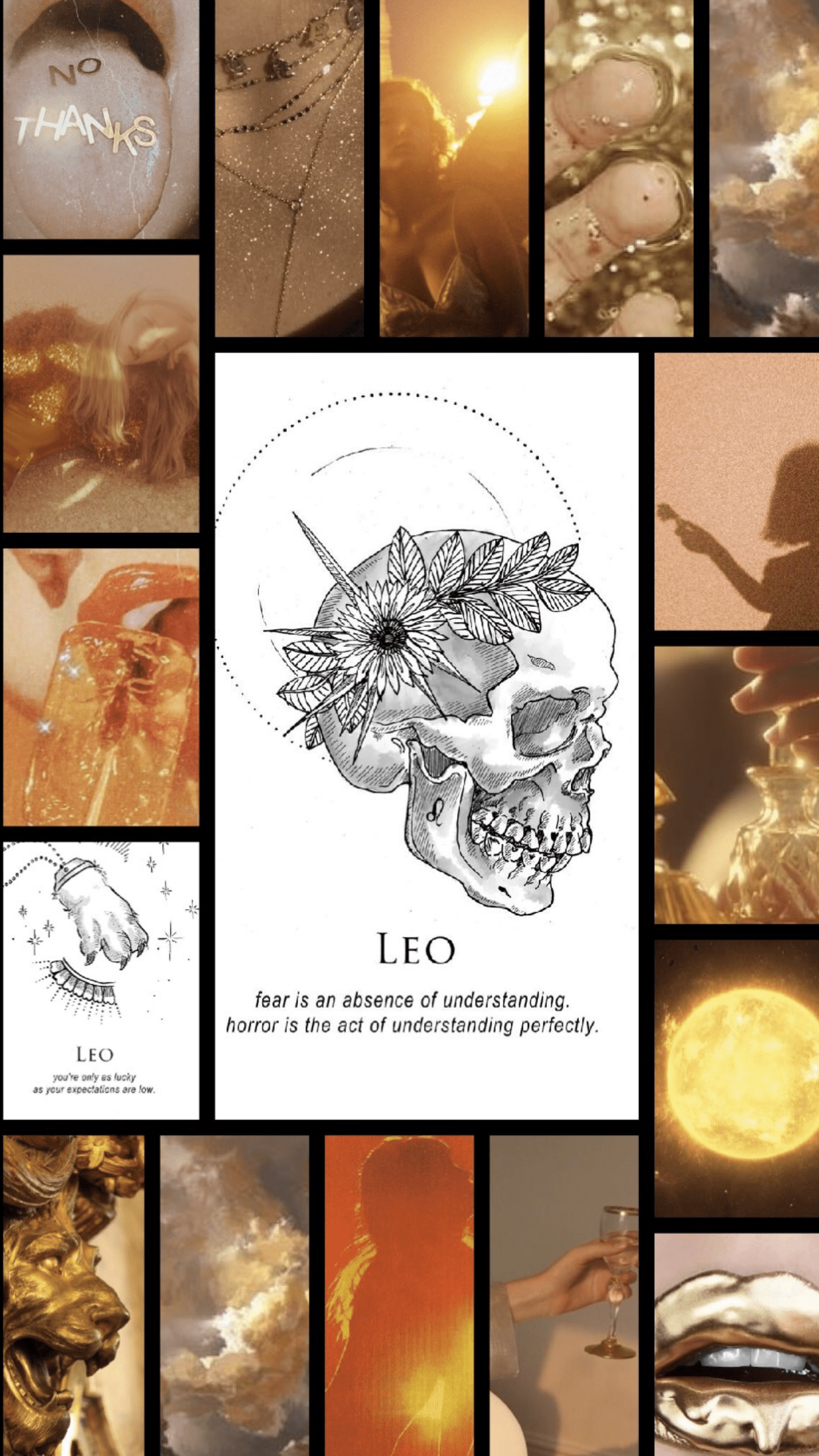 A collage of images with the word leo on it - Leo