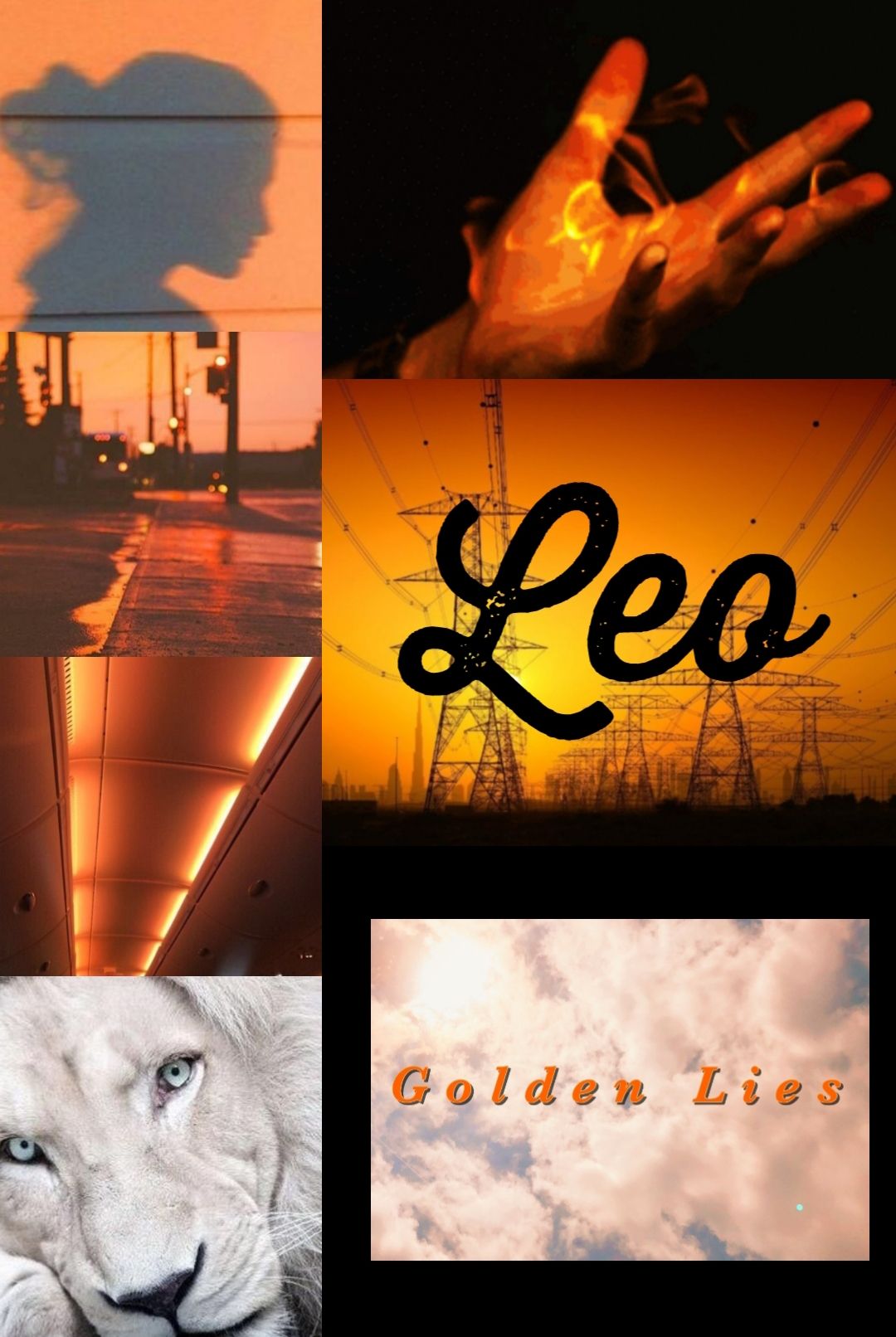 A collage of pictures with the word leo in them - Leo