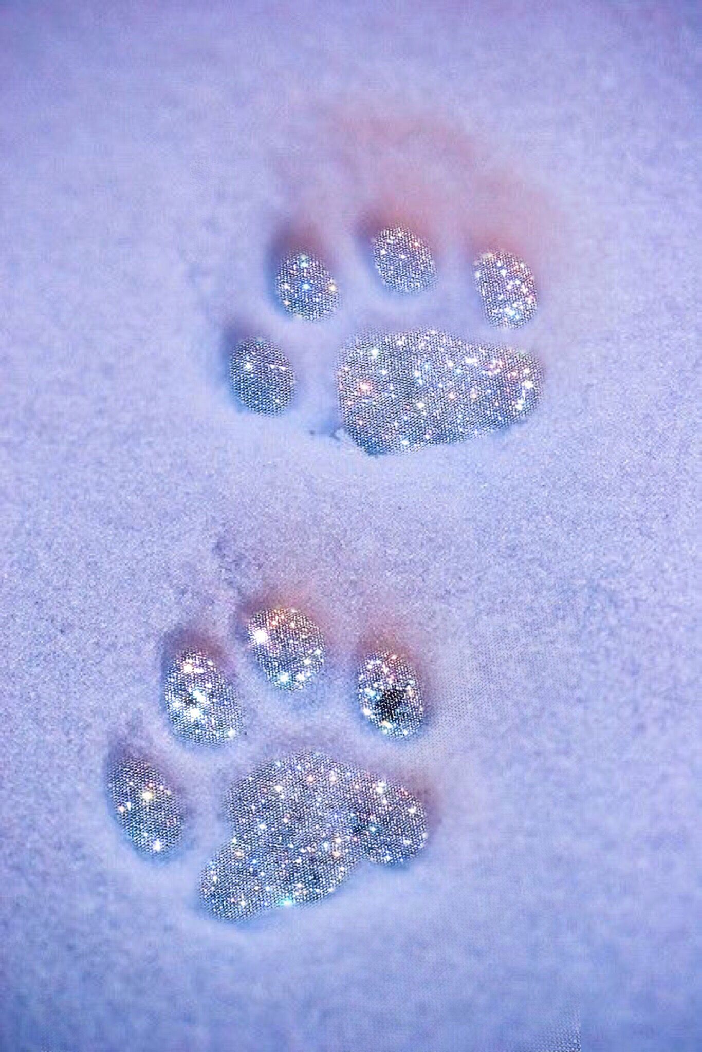 A paw print in the snow - Glitter