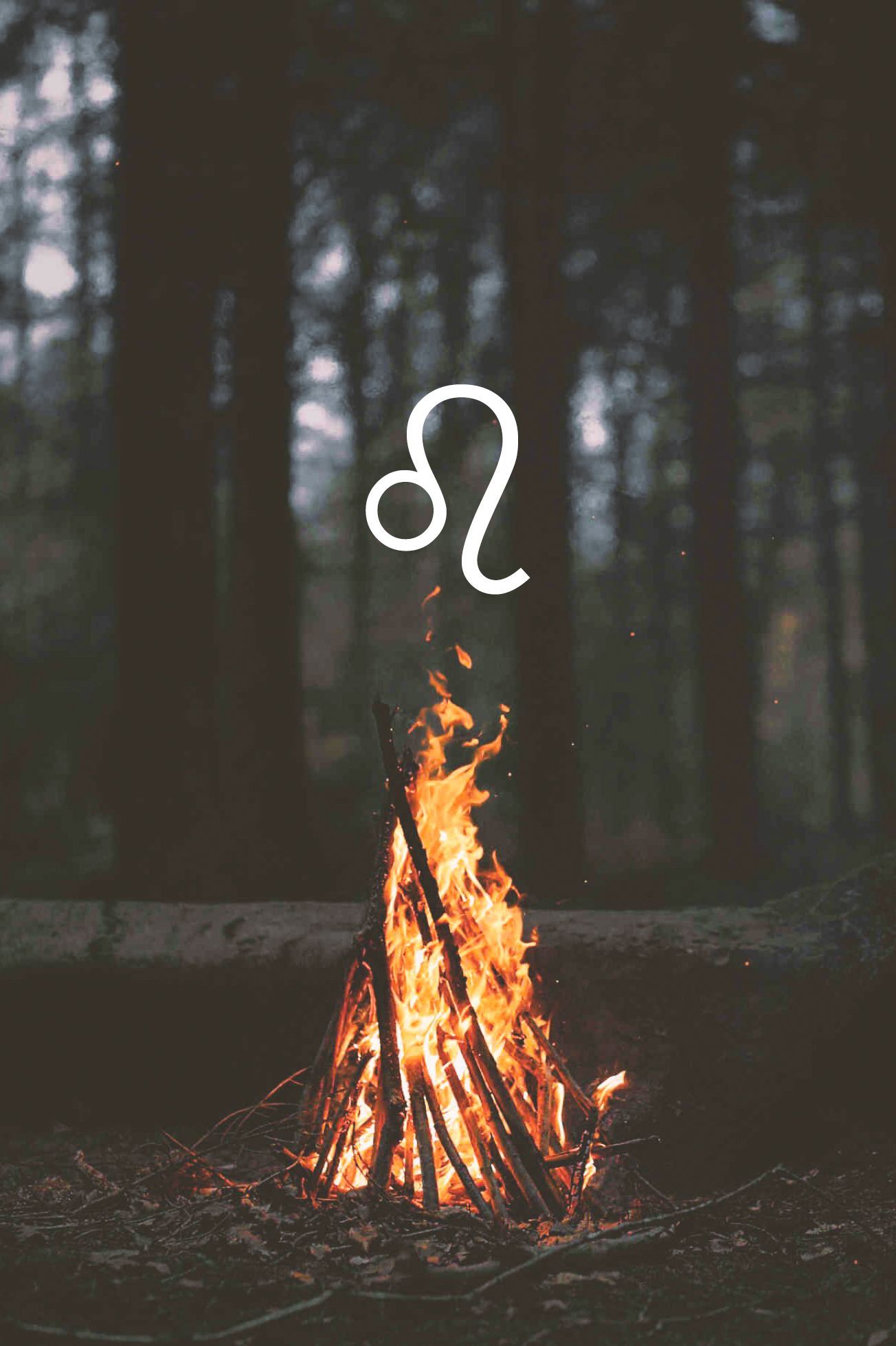 A fire is burning in the woods - Leo