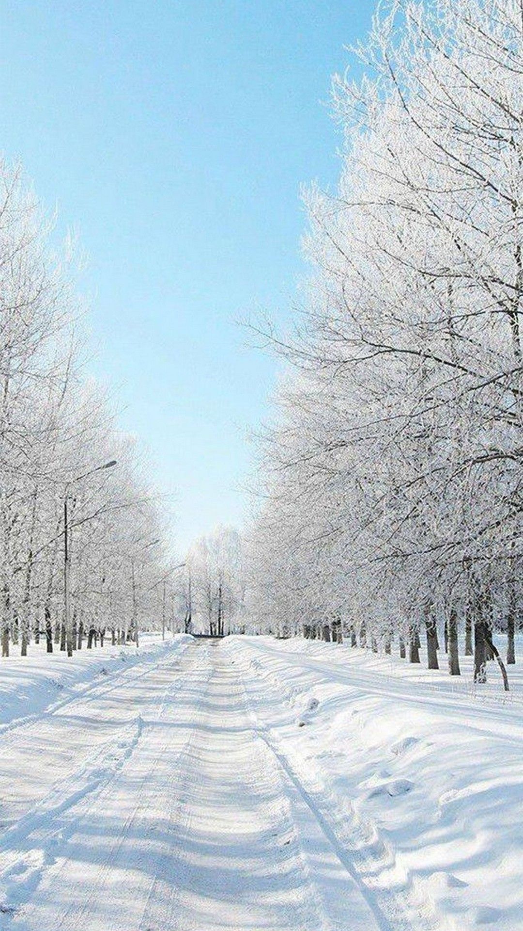 A snowy path with trees on both sides and a blue sky above. - Winter, snow
