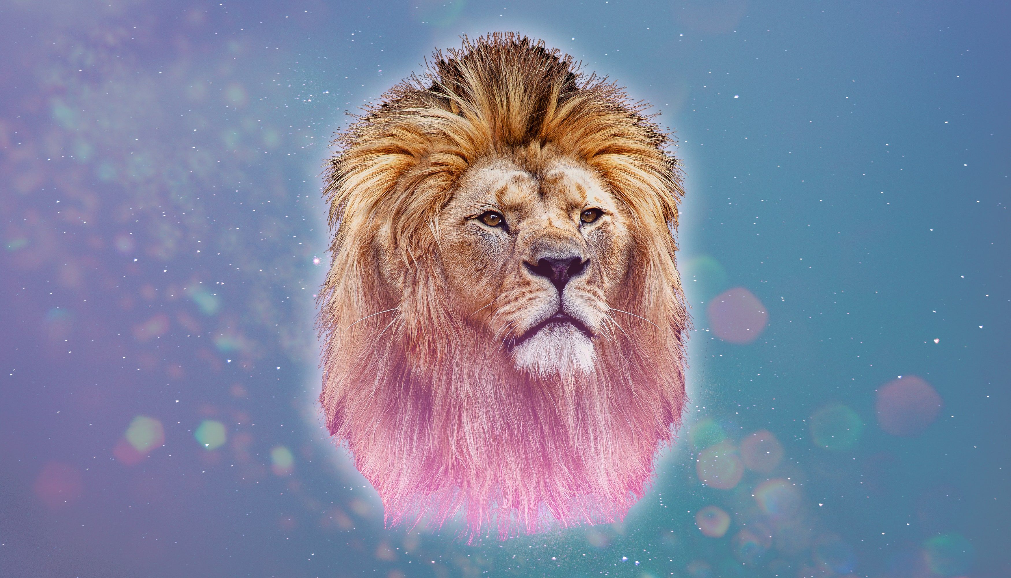A lion with a pink mane and a blue background - Leo