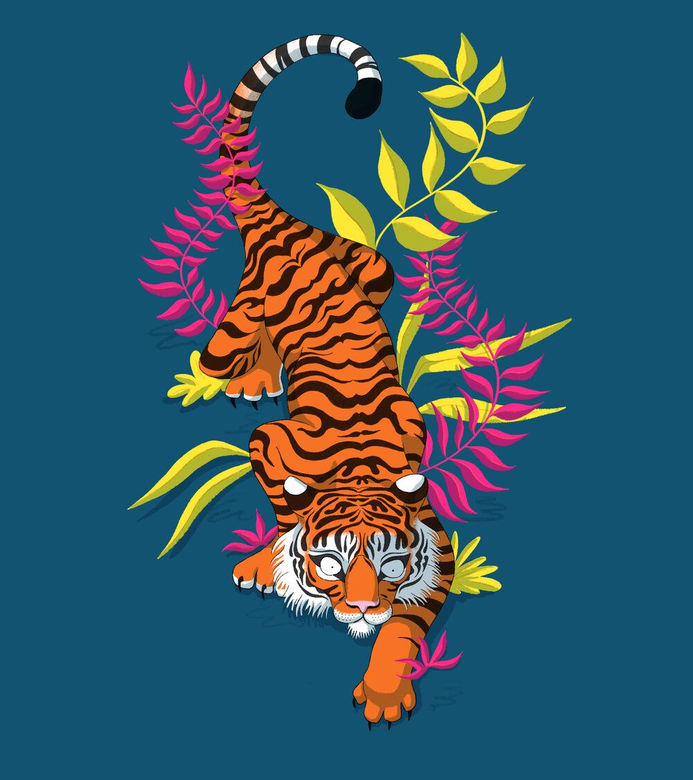 Tiger patterns