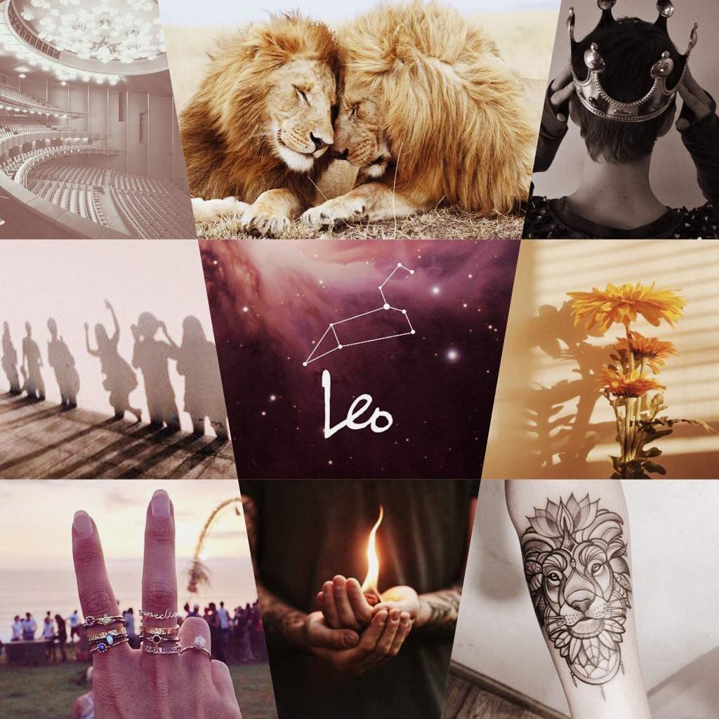 Leo Aesthetic. Young Authors and Illustrators Amino