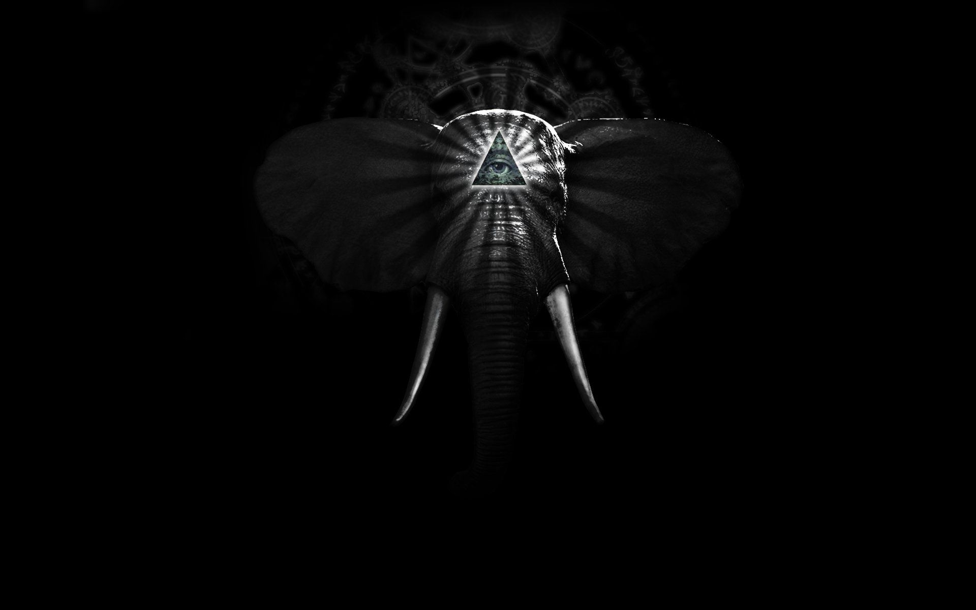 Desktop Elephant HD Wallpaper