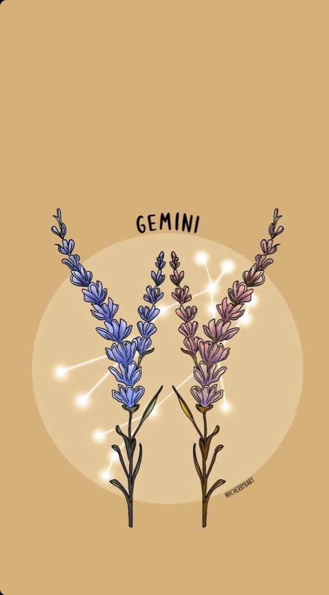 A drawing of two purple flowers with the word gemini - Gemini