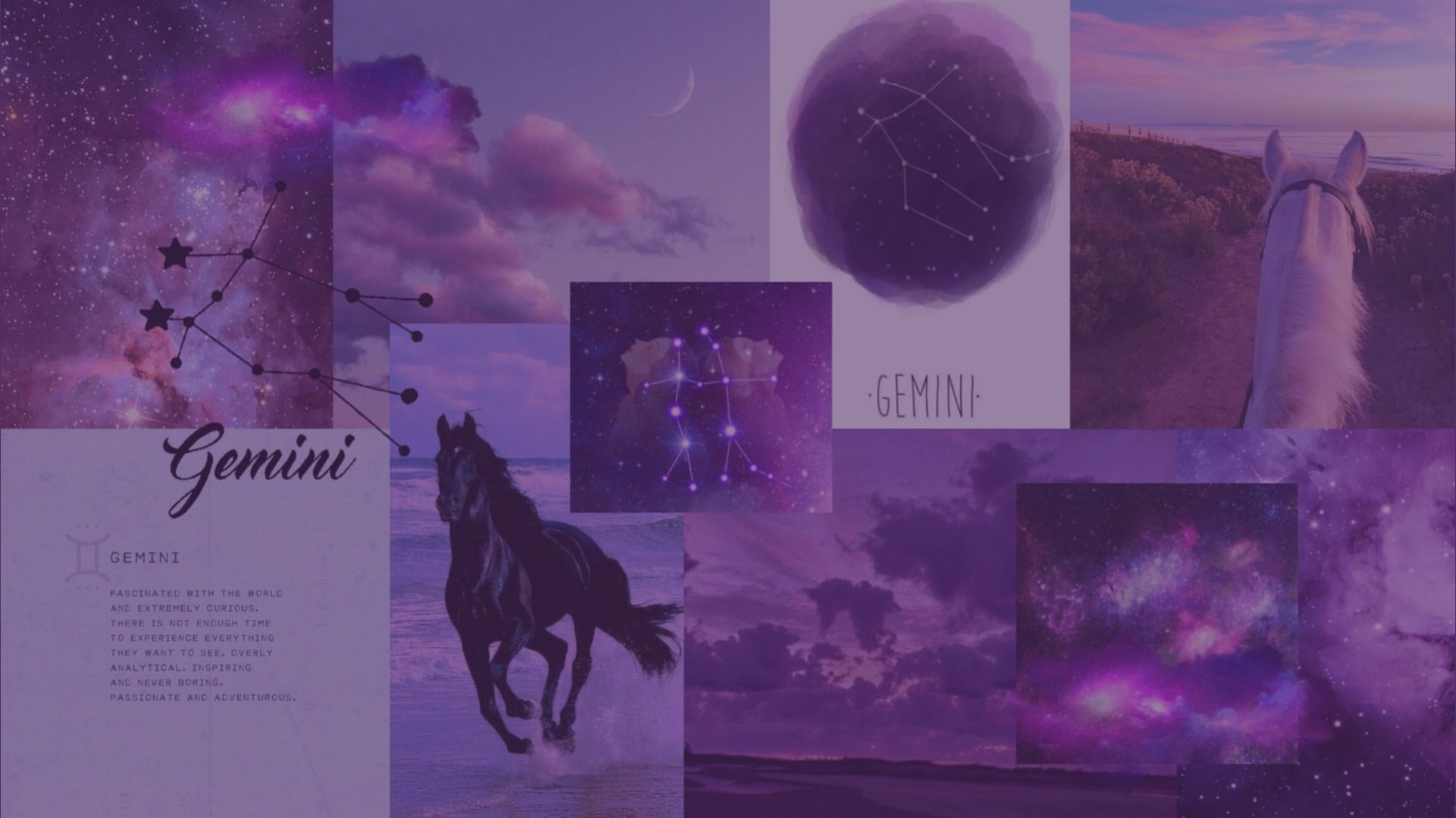 A collage of purple and blue images, including a horse, the word 