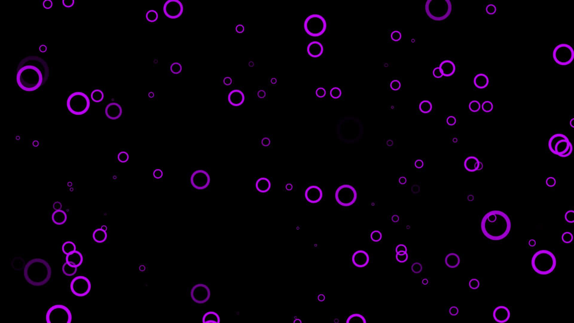 Purple circle particle motion background. Faded wallpaper animation with black color. Flying bubble