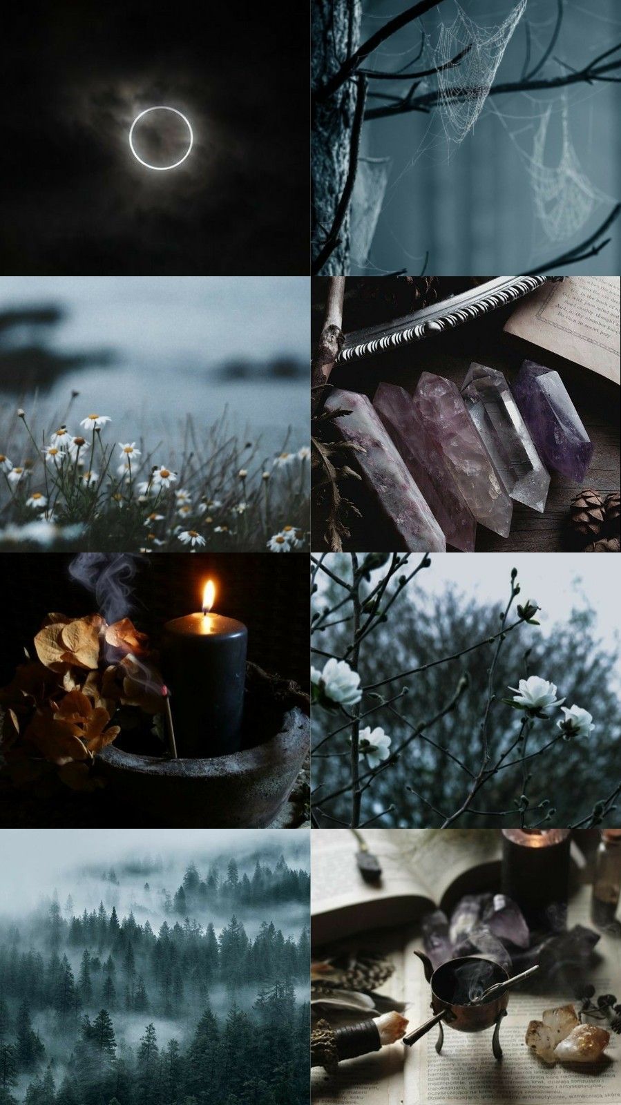A collage of pictures with different themes - Capricorn, witch