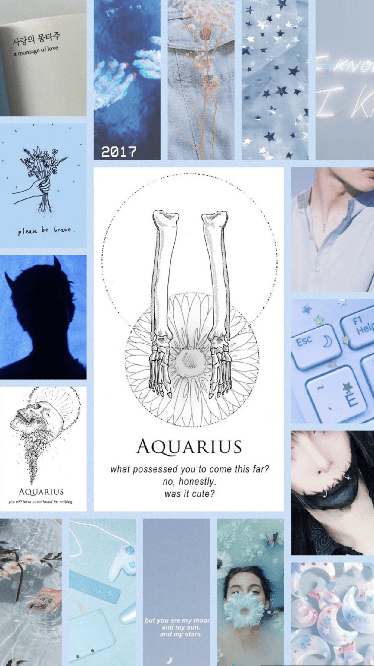 A collage of blue and white aesthetic pictures with the word Aquarius in the center. - Aquarius