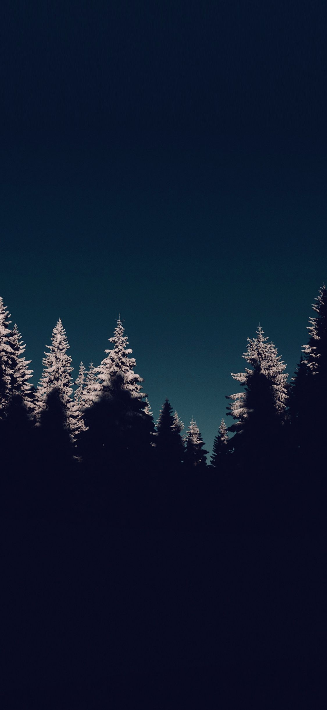 iPhone X wallpaper. wood winter night mountain blue dark