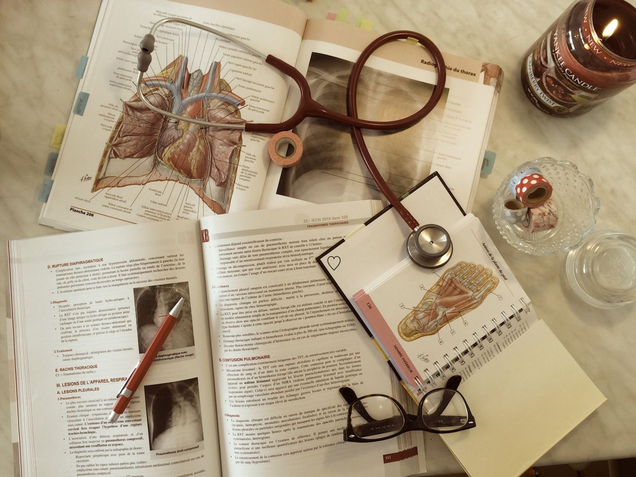 Open book with medical diagrams and a stethoscope on top - Nurse, medical