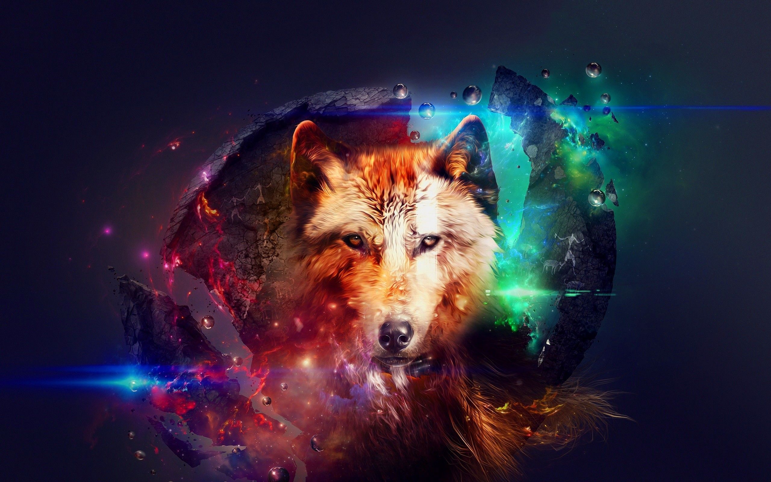 A wolf with a colorful background - Wolf