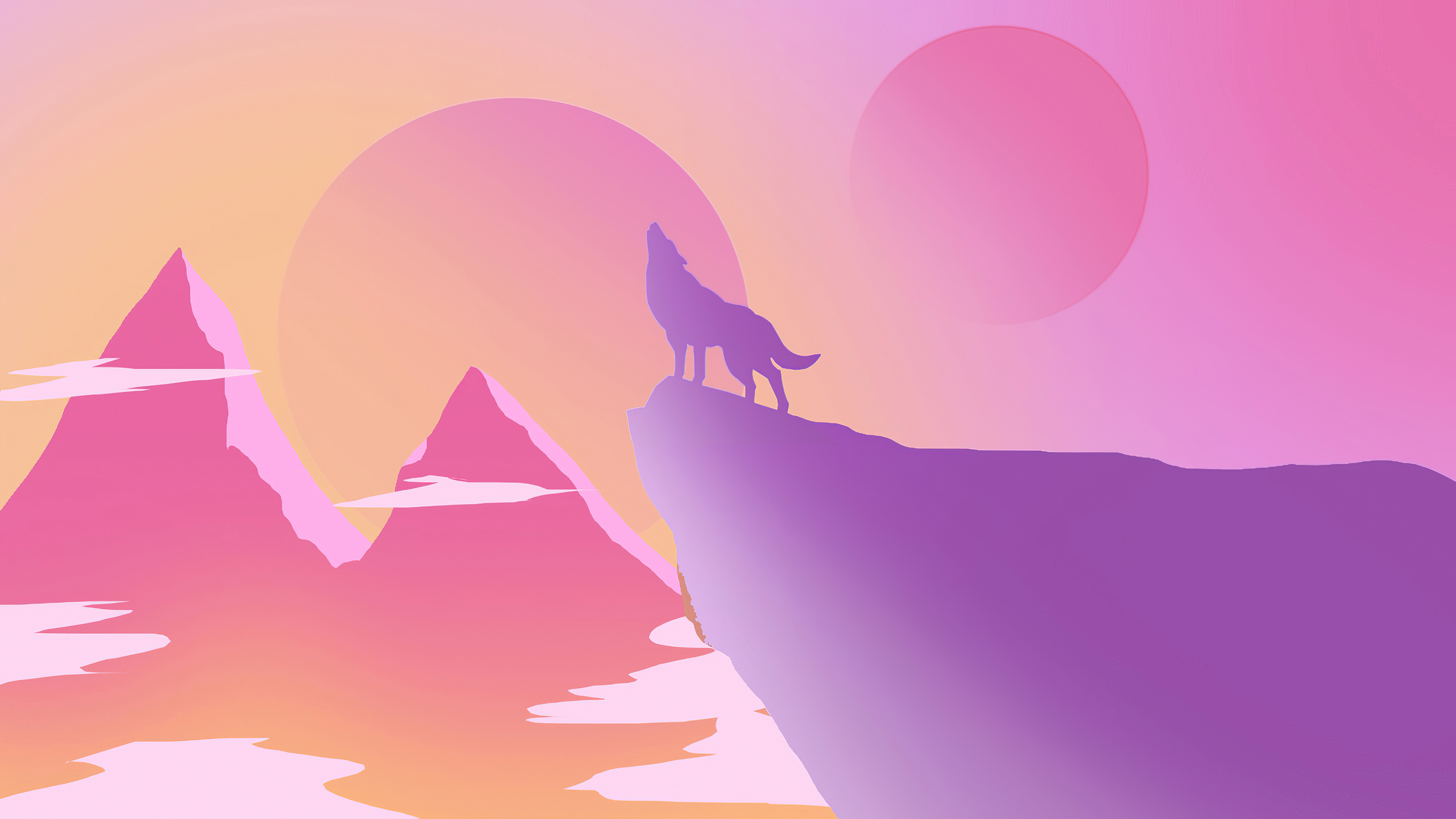 A wolf standing on top of the mountain - Wolf