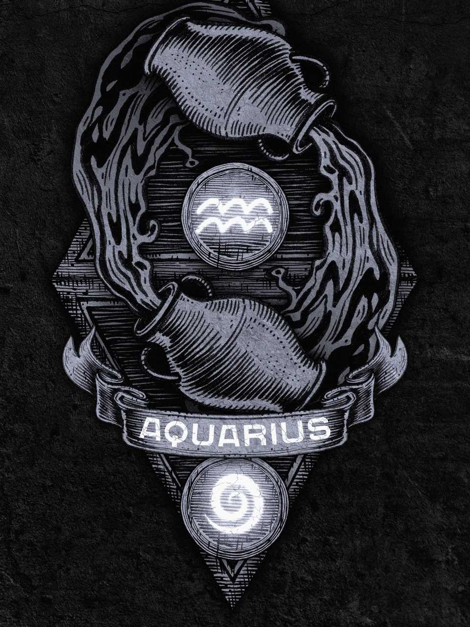 Aquarius - The Water Bearer - Astrology - Horoscope - Black and White -<ref> The design</ref><box>(109,5),(888,971)</box> is embroidered - Aquarius