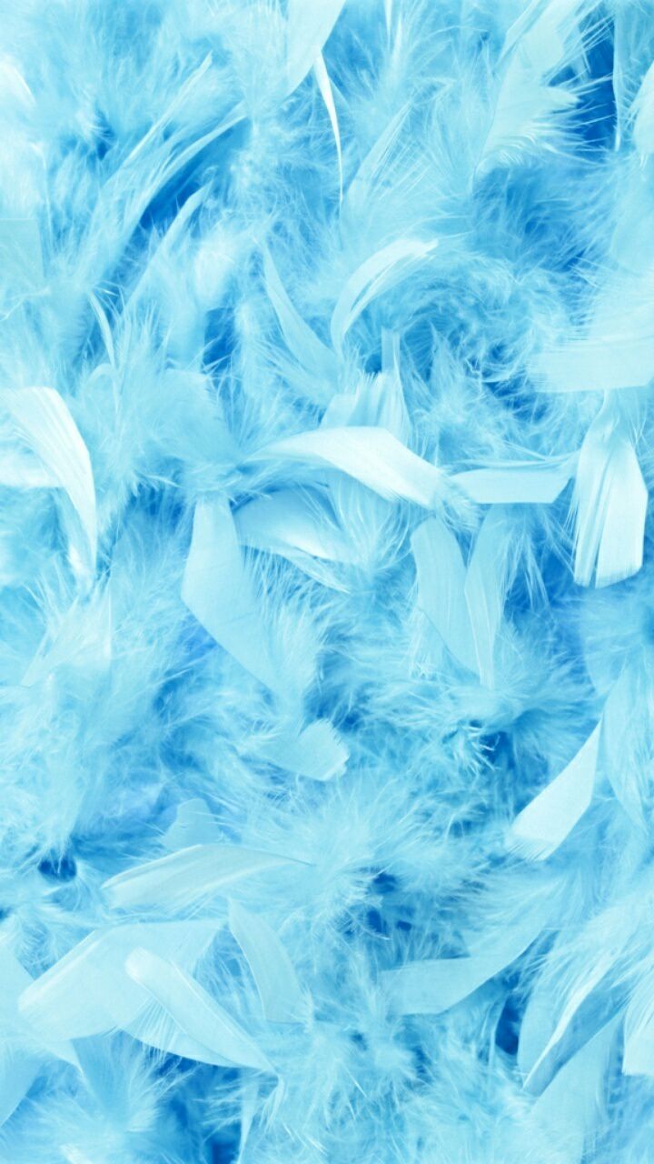 A close up of some blue feathers - Ice