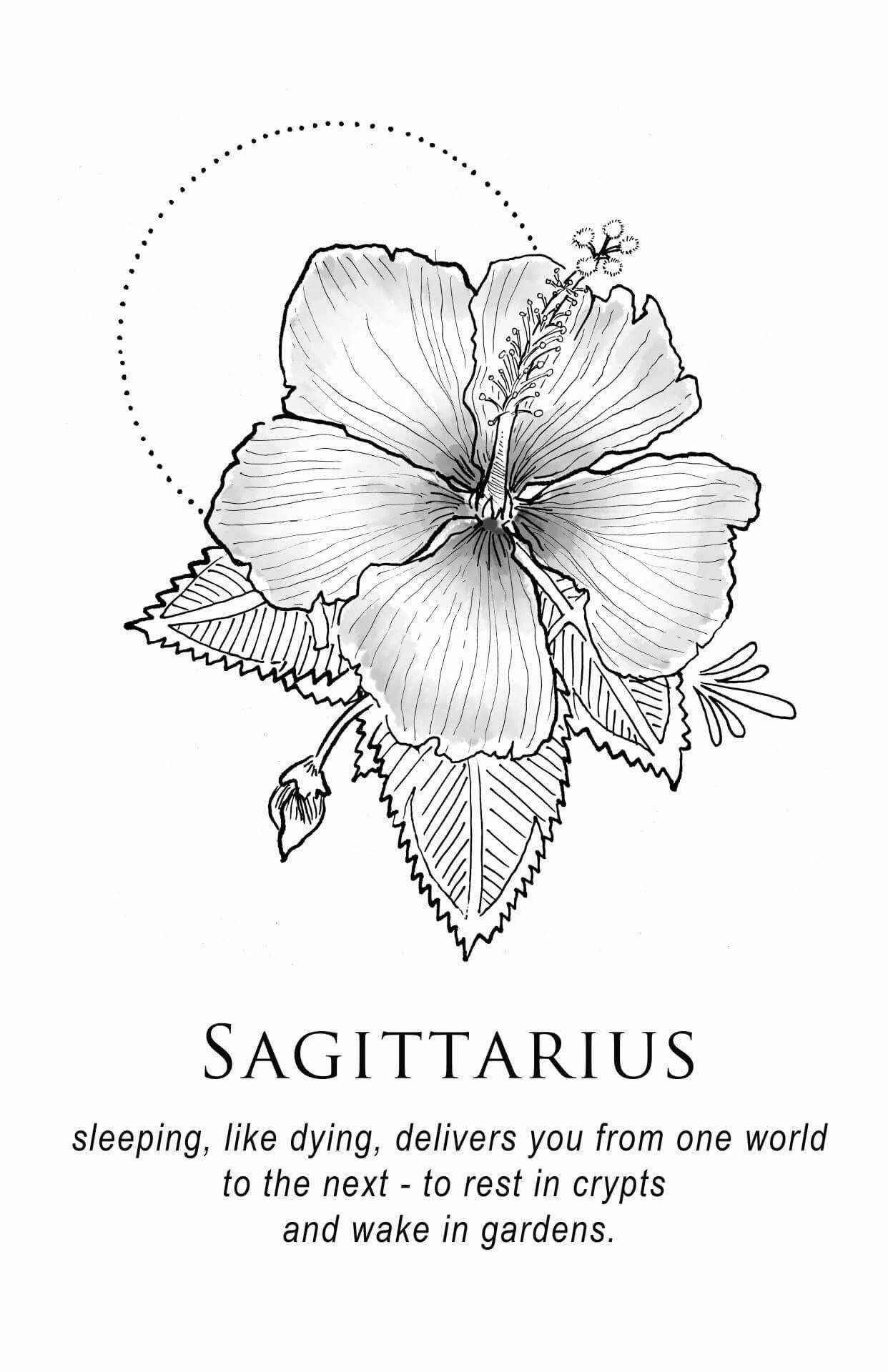 Download Sagittarius Zodiac Hibiscus Flower Wallpaper