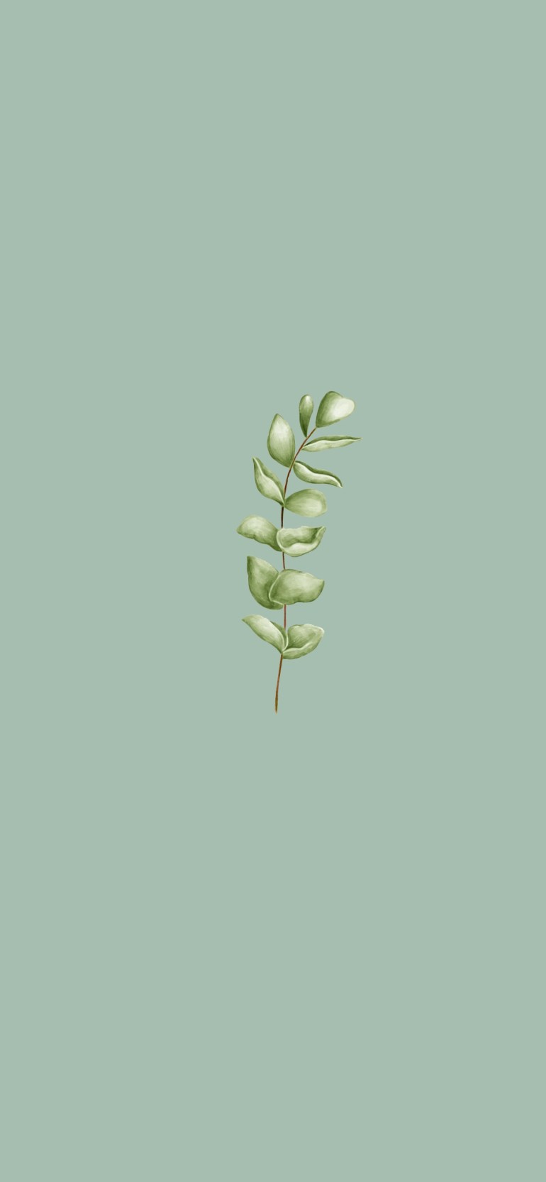 A minimalist greenery phone wallpaper with a green leaf on a light green background - Sage green, simple