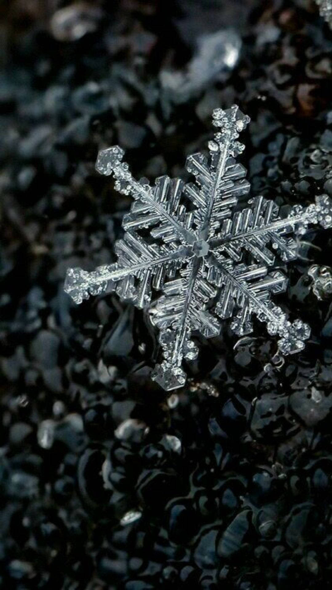 Free Snowflake iPhone Wallpaper Downloads, Snowflake iPhone Wallpaper for FREE