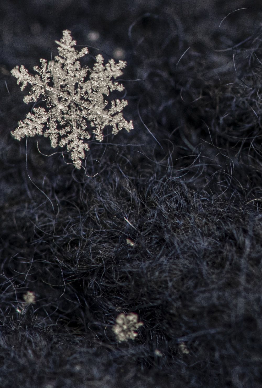 snowflake on grass photo