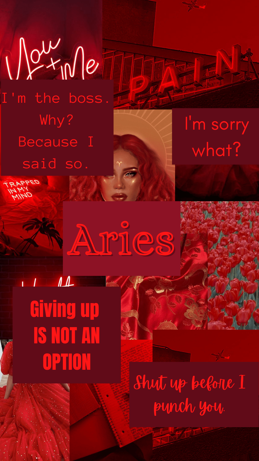 A red and black poster with the word 'aries' on it - Aries