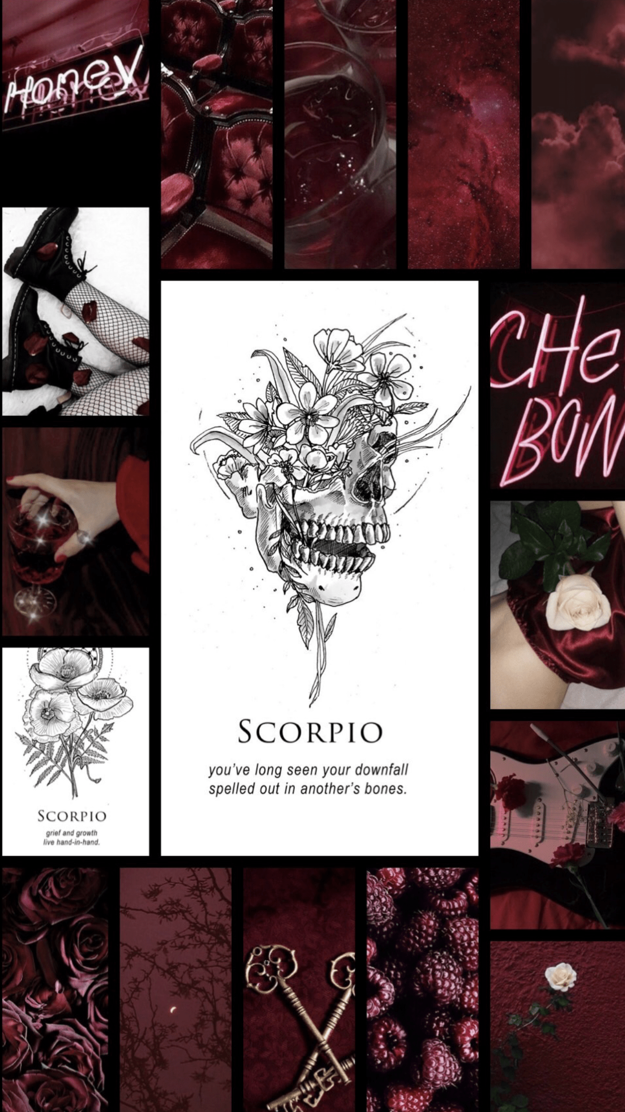 A collage of images of Scorpio including a skull - Scorpio