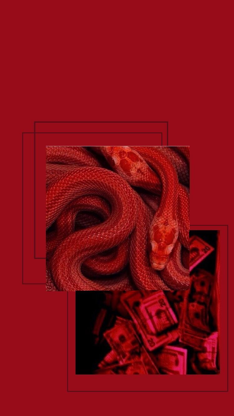 A red snake is shown on the cover - Snake
