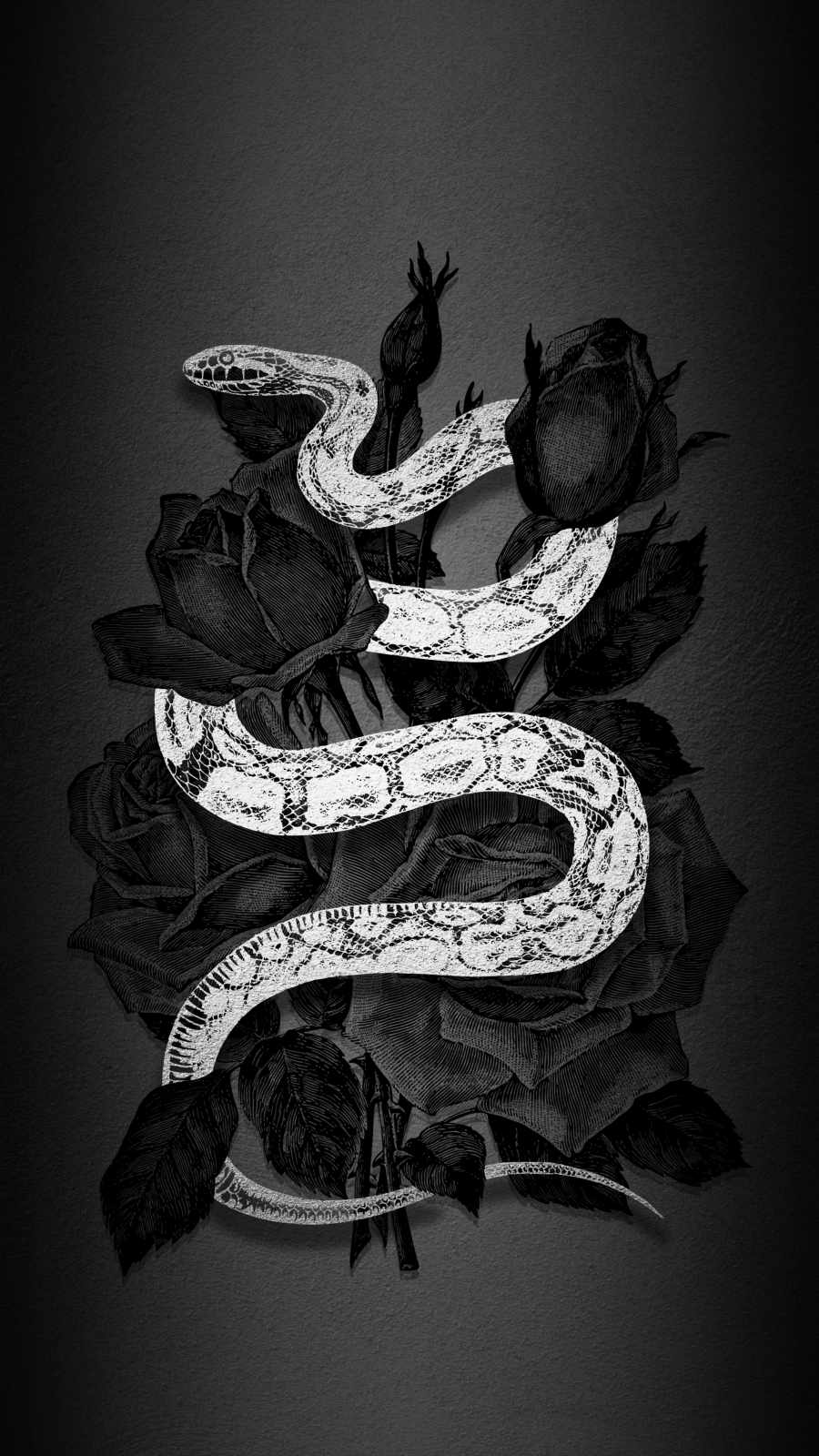 The snake and roses tattoo - Black and white, snake, roses