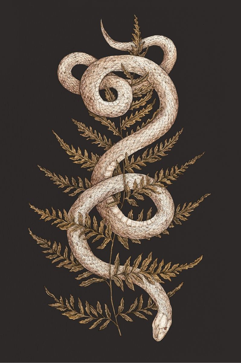 A snake is wrapped around some ferns - Snake
