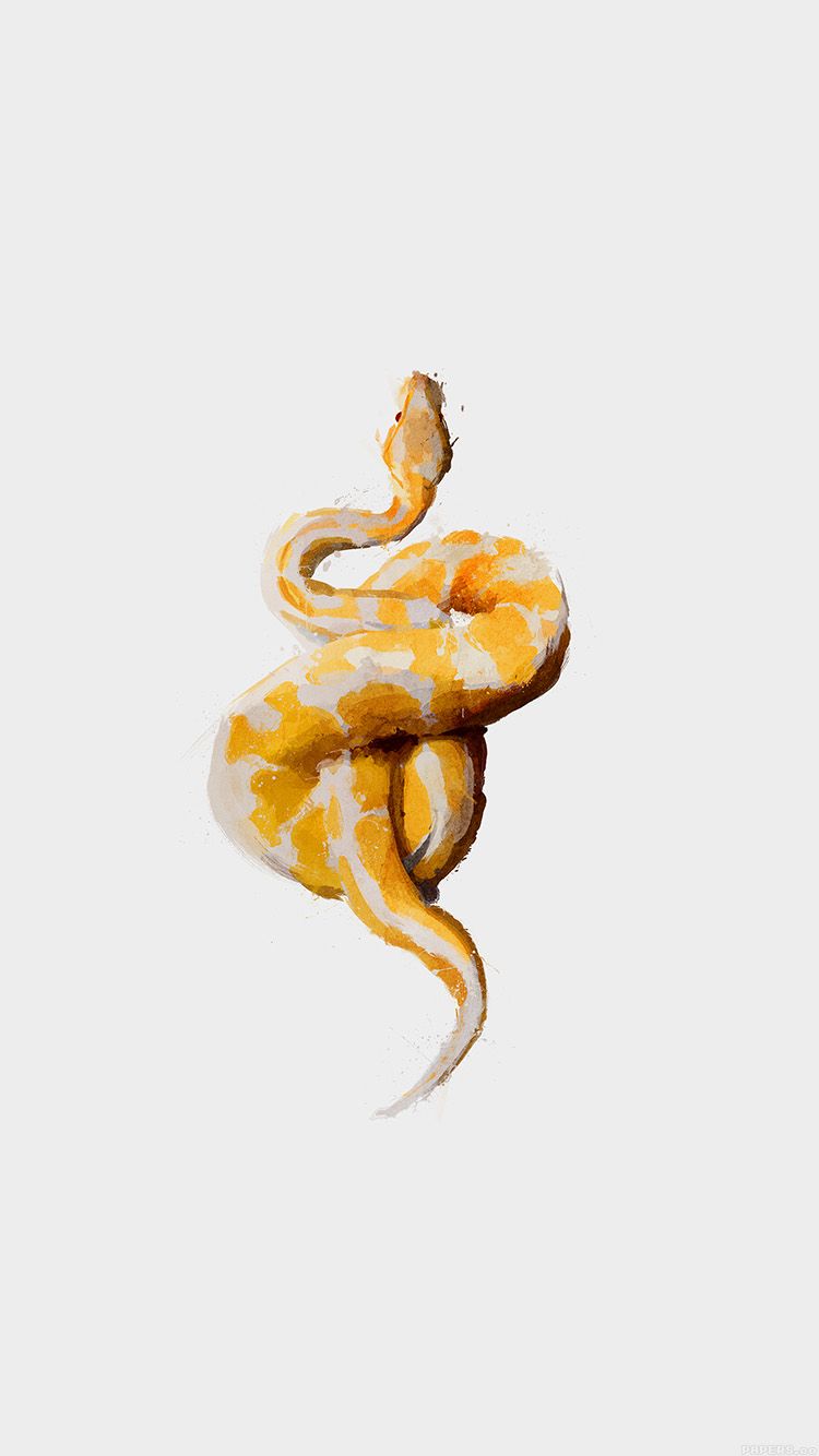 iPhone6papers.co. iPhone 6 wallpaper. snake illust minimal art