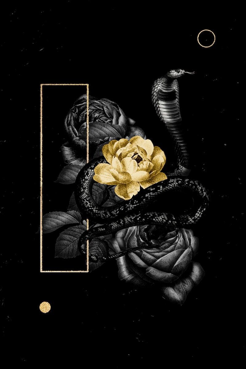 The snake and flower poster - Black, snake, gold