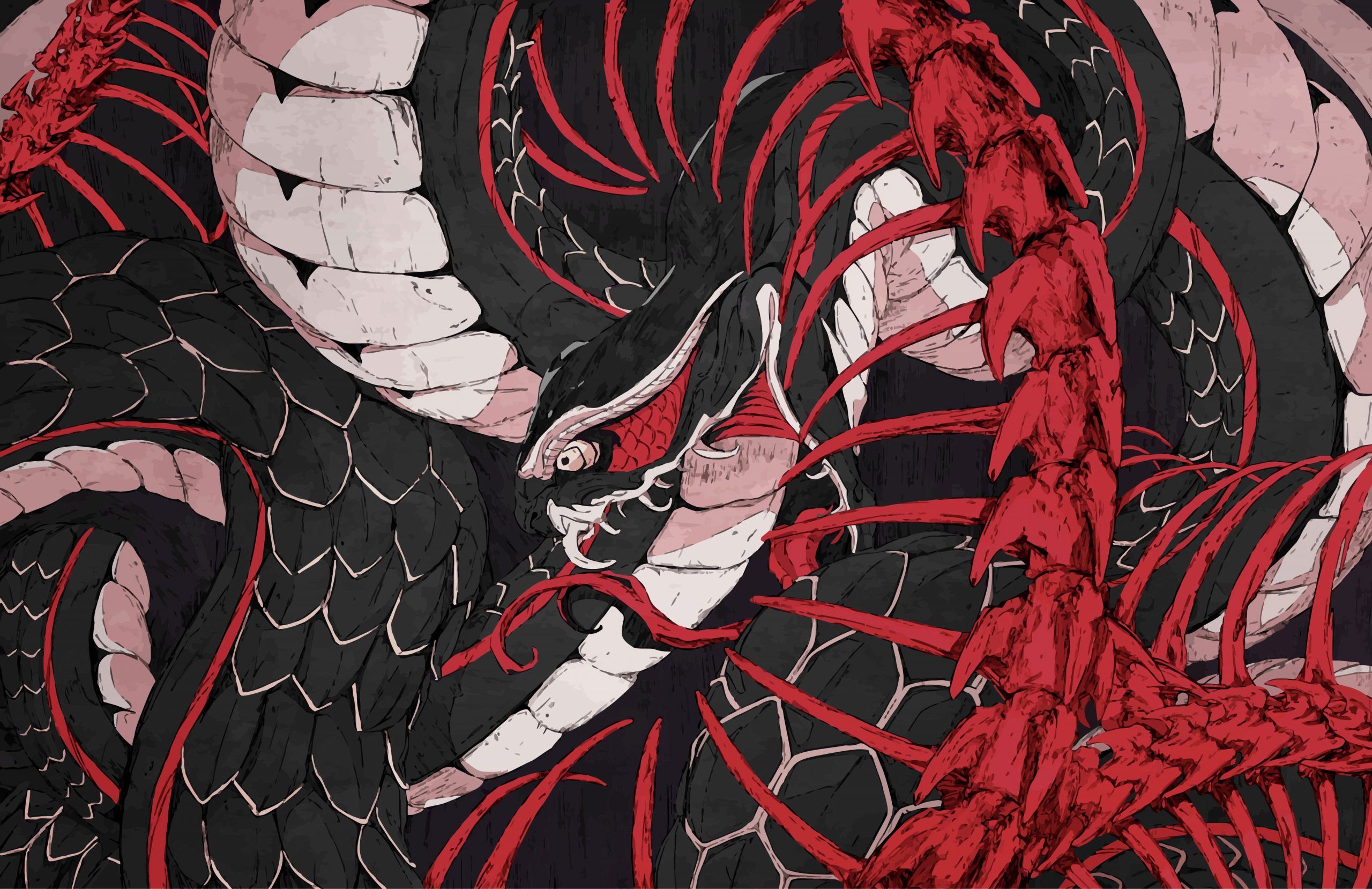 A black and red dragon is about to eat a white snake. - Snake
