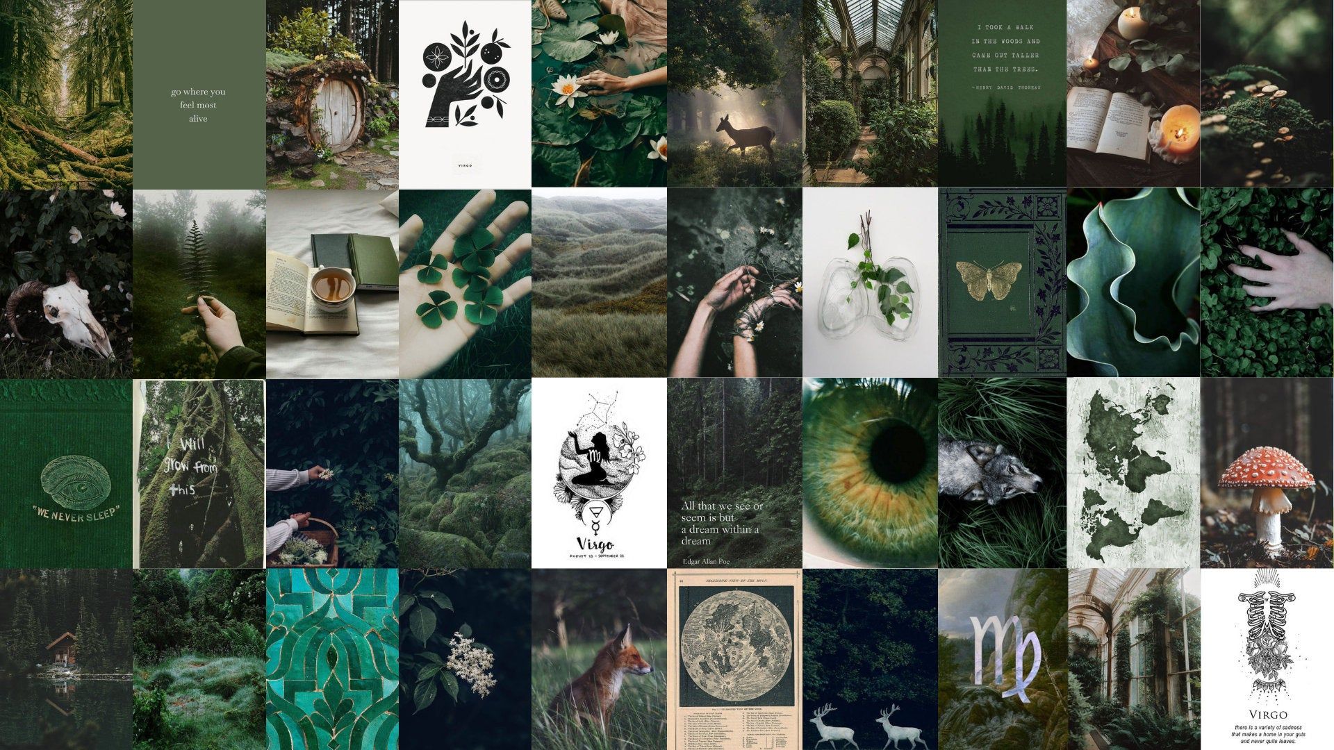 A collage of images with green and black backgrounds - Virgo