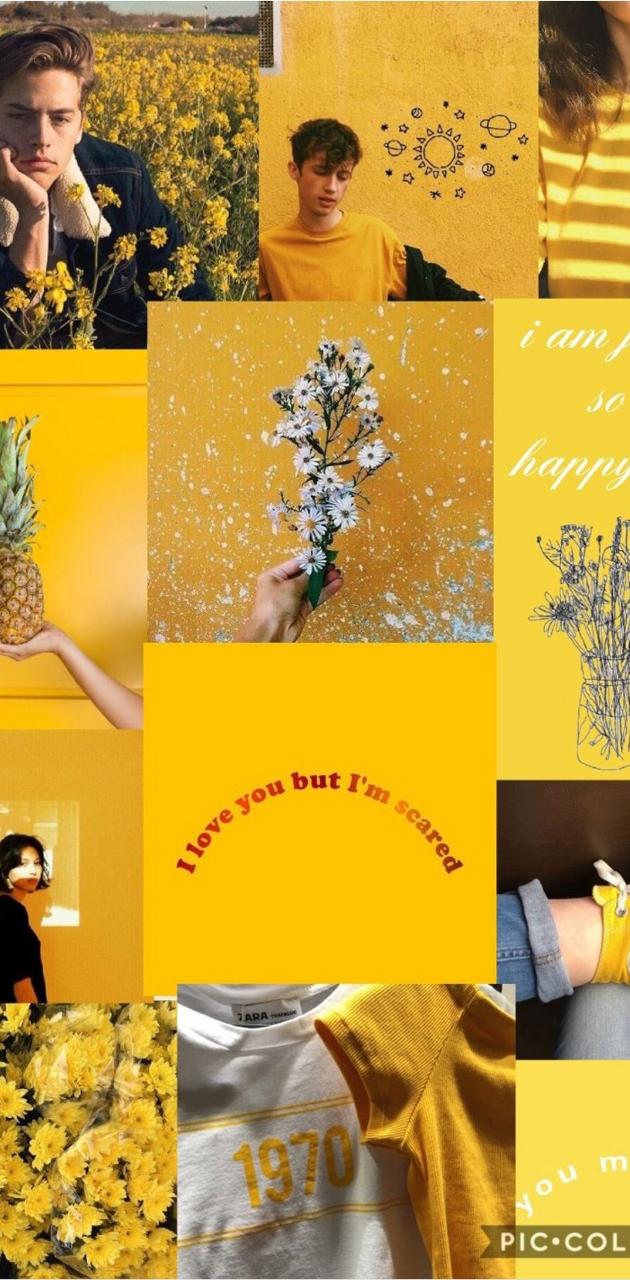 A collage of pictures with yellow backgrounds - Yellow