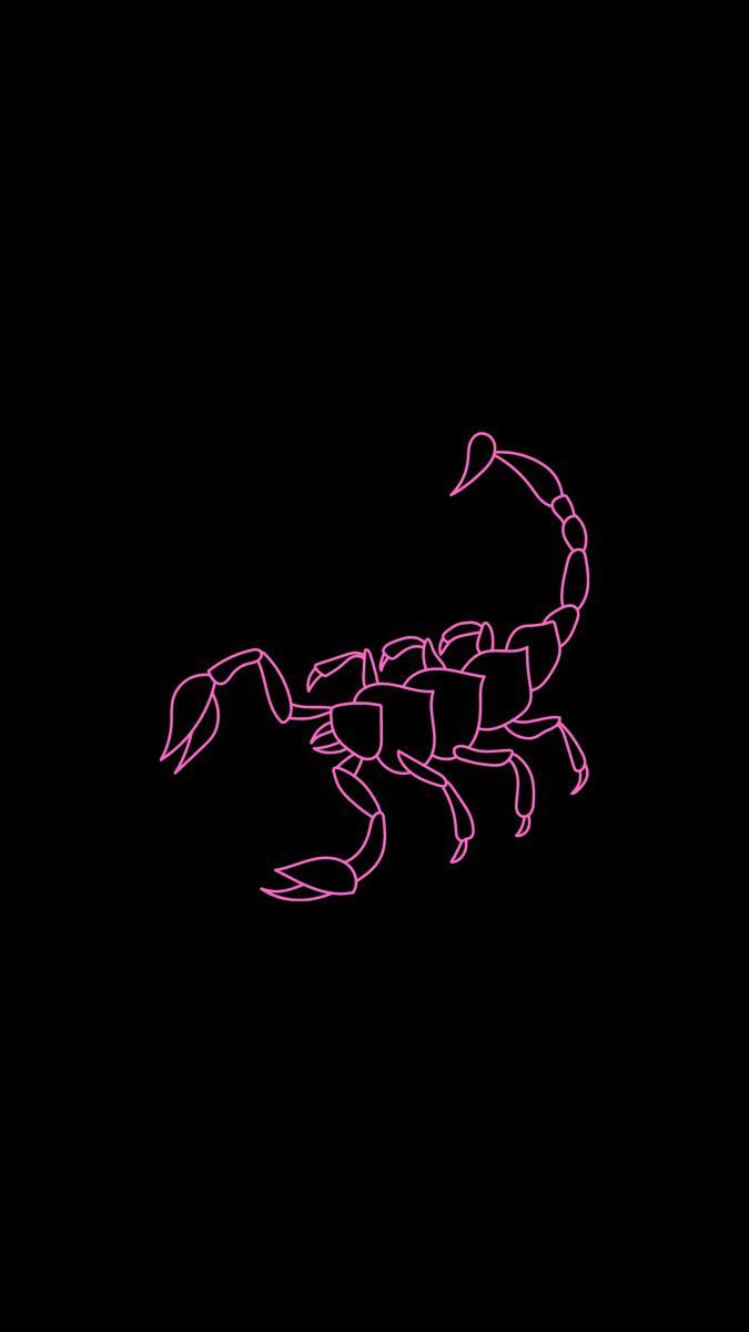 Pink scorpion on black background iphone wallpaper. Scorpio aesthetic wallpaper, Scorpio wallpaper. Scorpio art, iPhone background, Astrology scorpio art