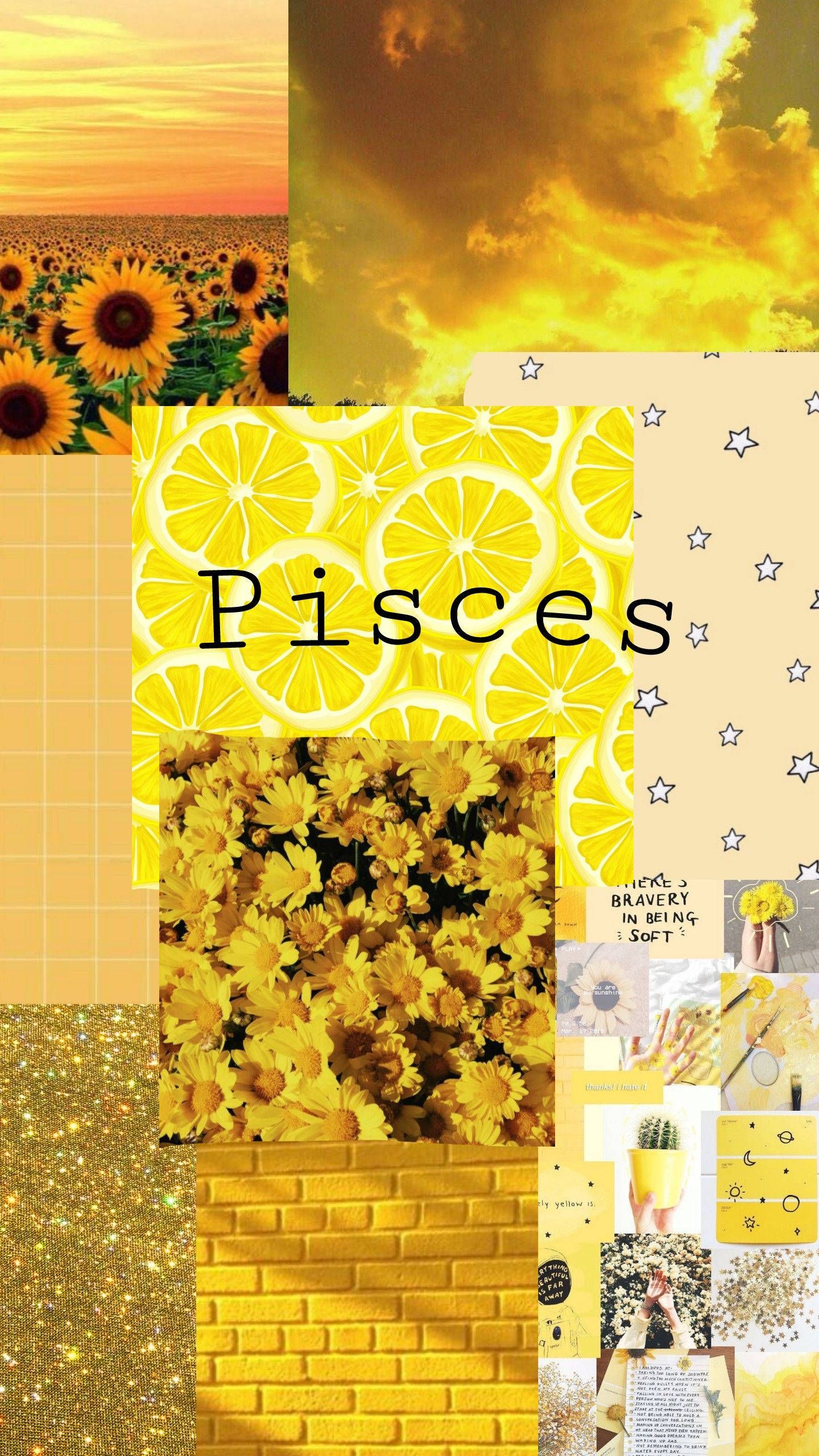 Download Yellow Pisces Zodiac Collage Wallpaper