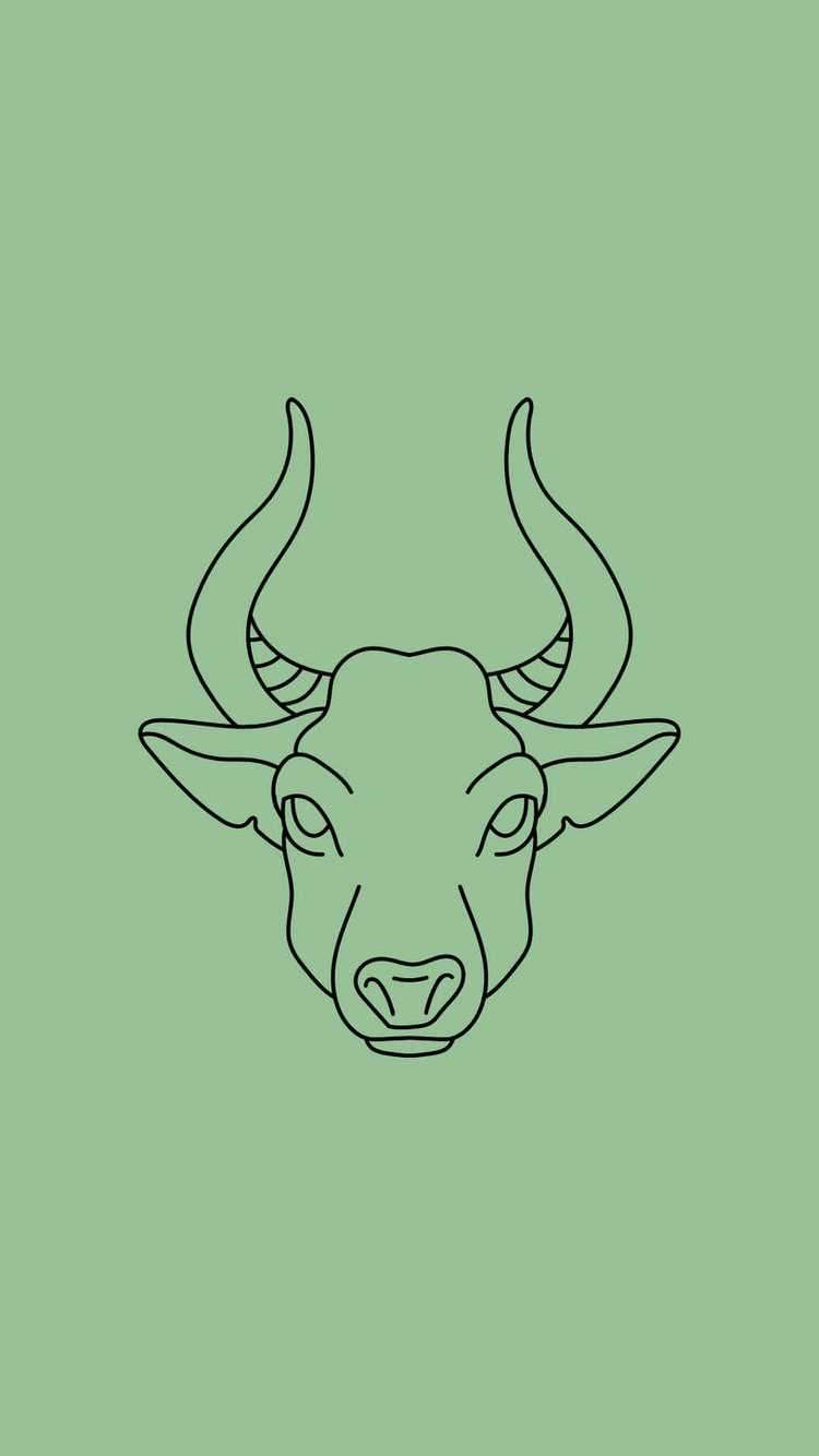 Bull head drawn in black on a green background taurus zodiac sign wallpaper phone black outline - Taurus