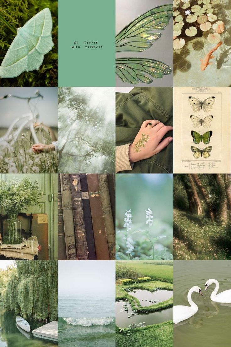 Green Aesthetic collage