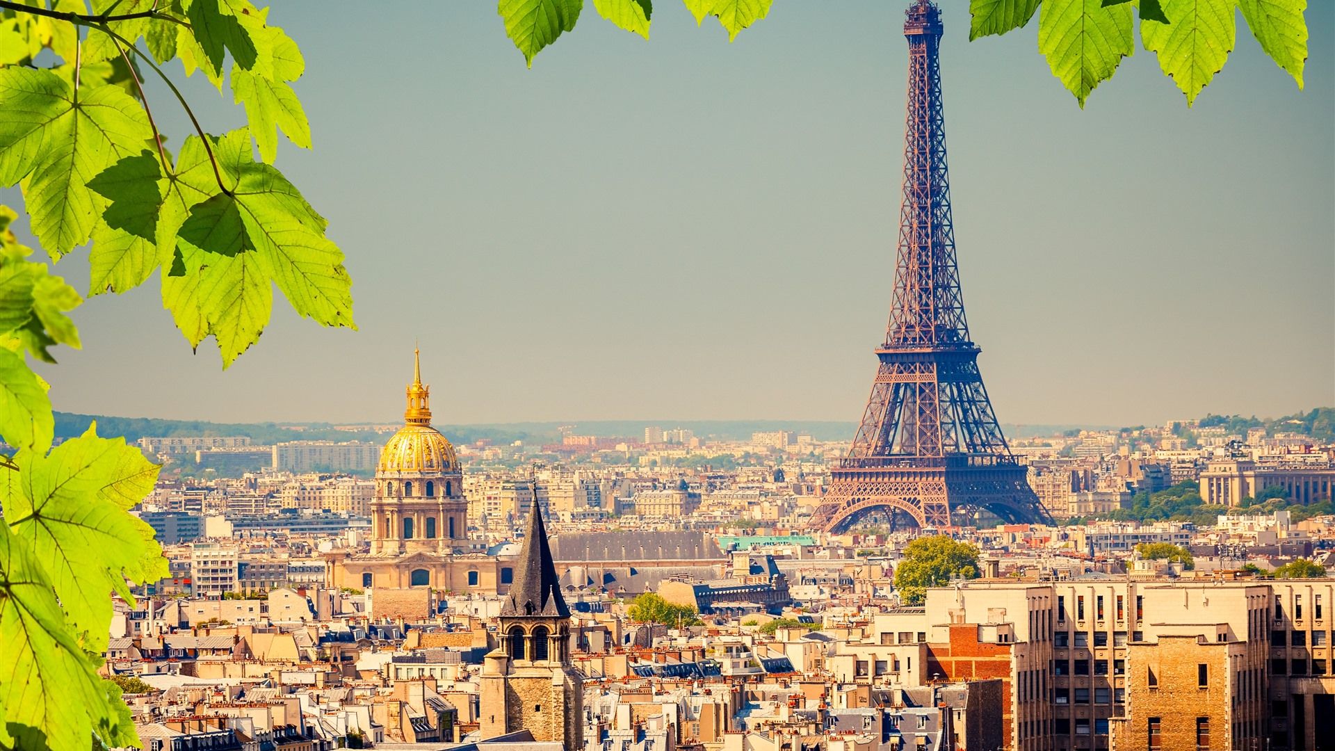 A picture of the Eiffel Tower in Paris, France, framed by green leaves. - Paris