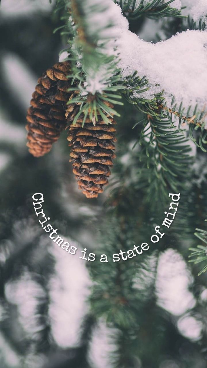 A christmas tree is the state of mind - Winter