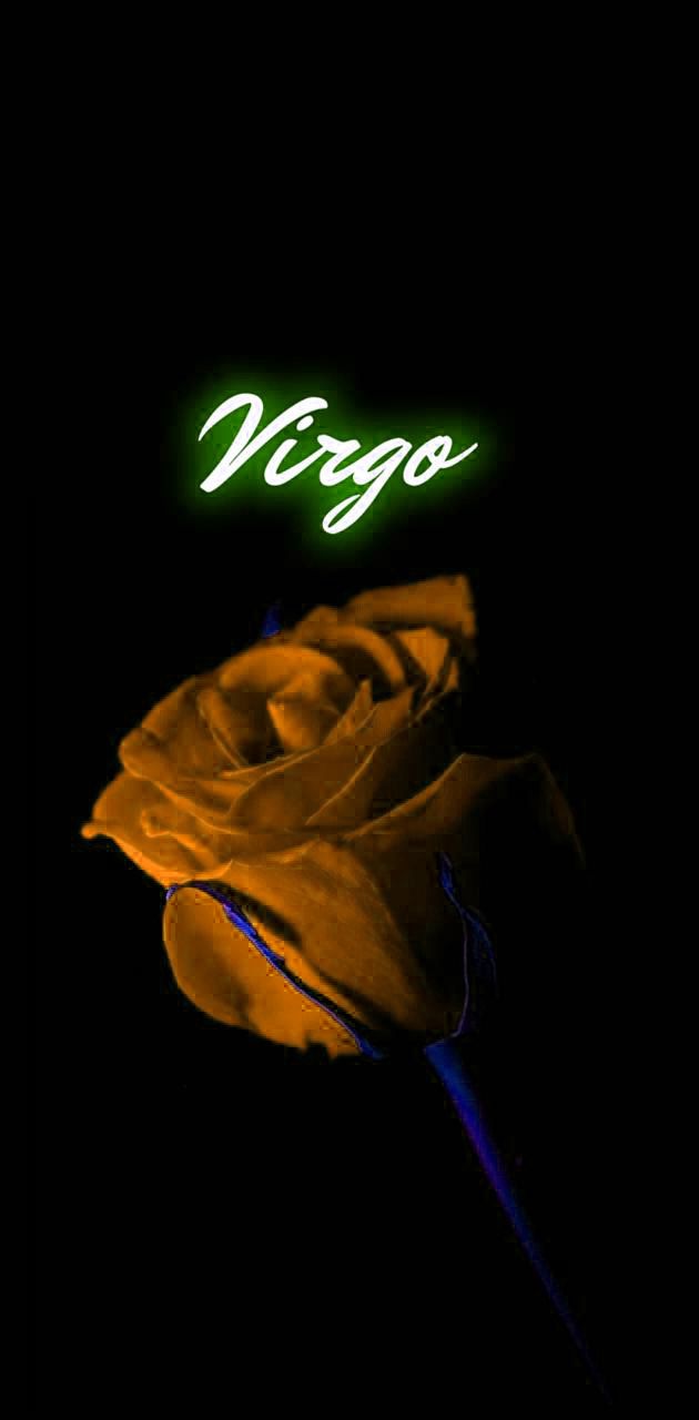A rose with the word virio on it - Virgo