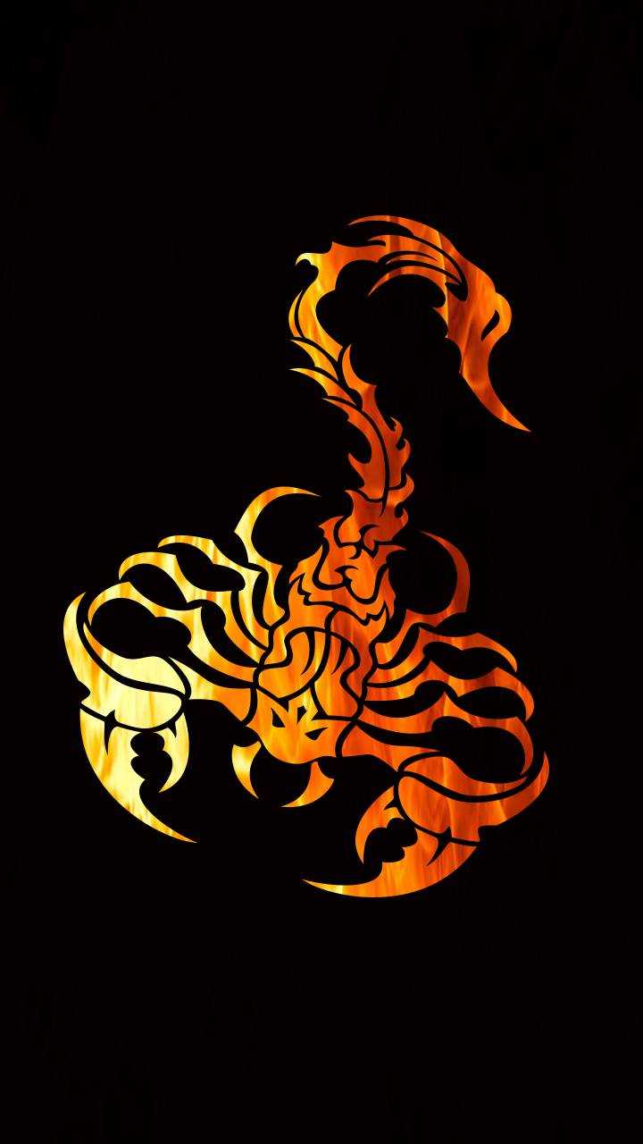 A scorpion tattoo on black background - Scorpio